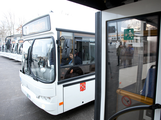 Новый автобус доставит петербуржцев из Кронштадта к станции «Проспект Просвещения»