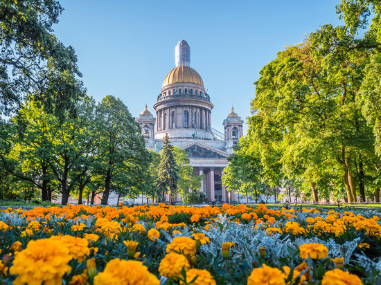 Крокусы, подснежники и сциллы: какие цветы первыми распускаются в московских парках