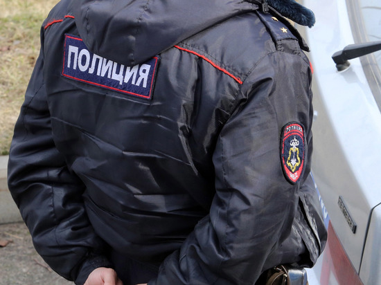 В Ленобласти задержали женщину, сообщившую о взрыве на детском концерте