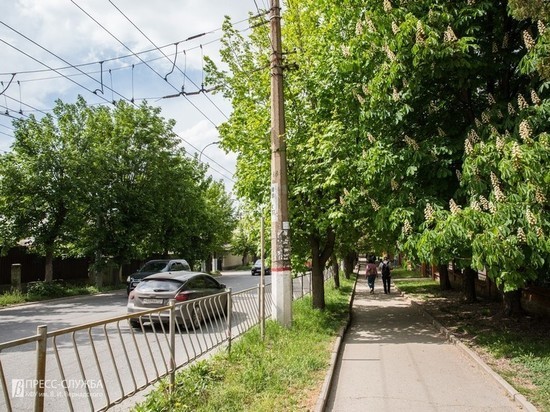 Как в Симферополе сохраняют "зеленый фонд" города