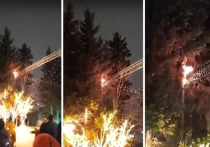Неприятным эпизодом завершаются новогодние праздники в томском Городском саду: там в субботу вечером возник небольшой пожар.