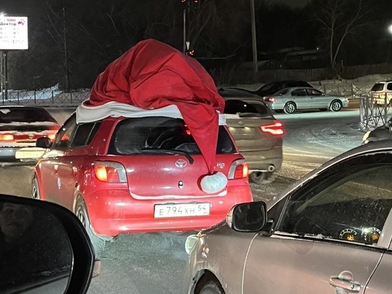 Новосибирцев рассмешил автомобиль в шапке Санта-Клауса