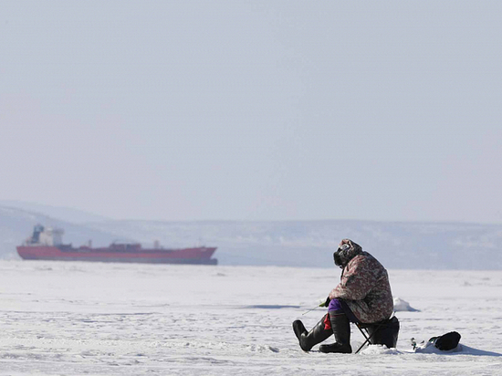 Приморские рыбаки сотнями вышли на лед из-за наваги