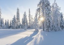Морозная погода возвращается в Омскую область