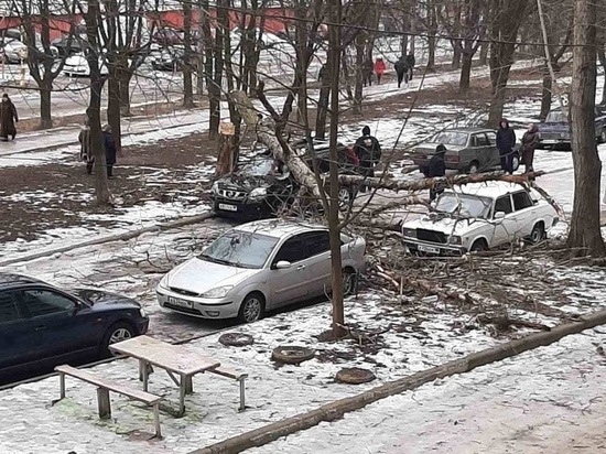 На окраине Донецка дерево упало на три автомобиля сразу: ФОТО