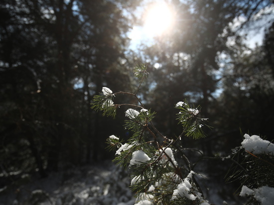 В Астрахани 10 января обещают минусовую температуру и небольшой снег
