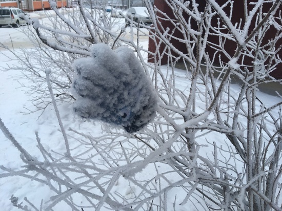 Первый рабочий день года в Смоленске обещает снег и морозец