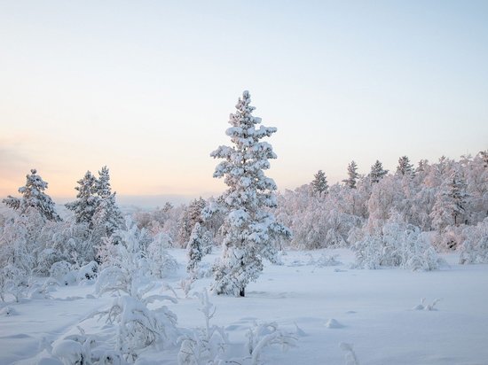 Воронеж засыплет снегом в начале первой рабочей недели нового года