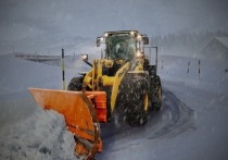 Вчера, 9 января, жители деревни Позднеево, соседствующую с Зональной Станцией под Томском,  пожаловались, что снегопад занес дорогу к деревне; спустя сутки они уверены, что проблема так и не решена.