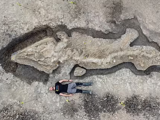Размер останков доисторического морского ящера составил около 10 метров