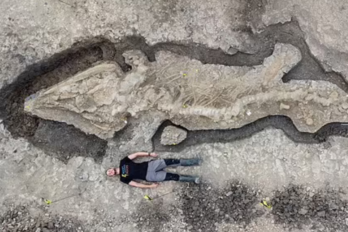 Доисторическая девушка замороженная 40 миллионов лет. Окаменевшие гиганты. Останки ихтиозавра. Скелет ихтиозавра. Dragon Fossil.