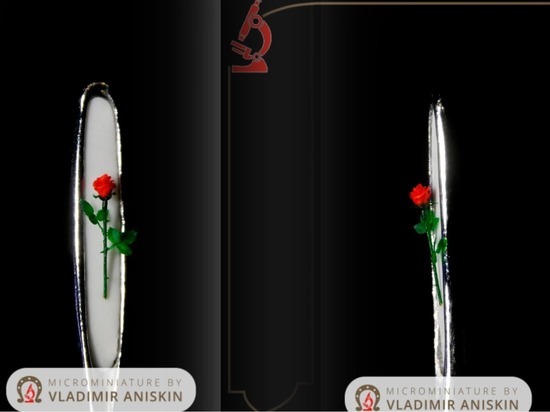 Сибирский Левша сделал самую дорогую в мире розу на игольном ушке