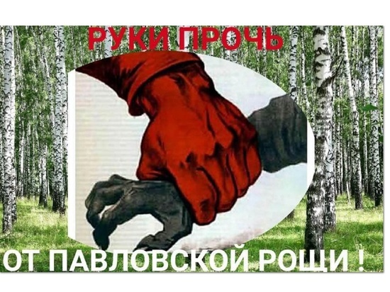 Ярославская правозащитница рассказала о перспективах Павловской рощи