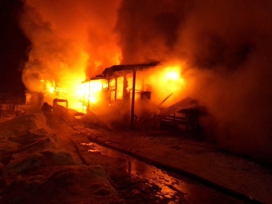 Во время пожара в Костромской области погиб житель Озерска с двумя детьми