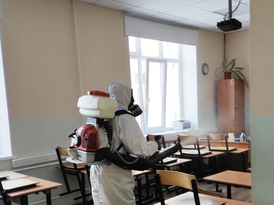 В Новгородской области продезинфицировали все школы перед возвращением учеников с каникул