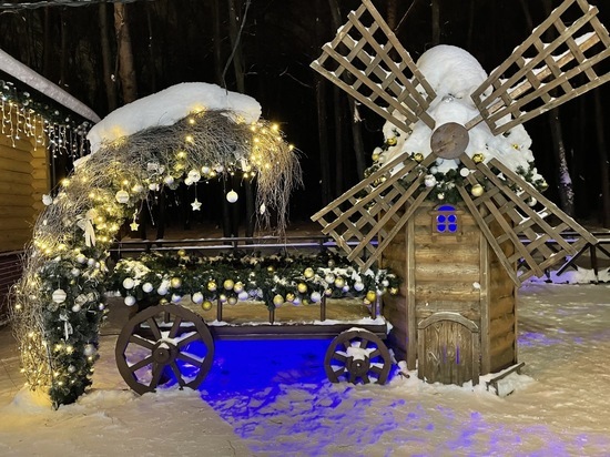 11 января в Рязанской области ожидается небольшой снег и до -10 градусов