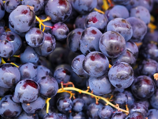 Что следует добавить в меню