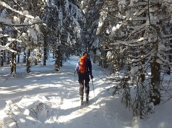 Югорский лыжный марафон будет двухдневным и бесплатным