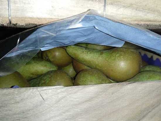 На Смоленском участке границы задержано 60 тонн польских груш