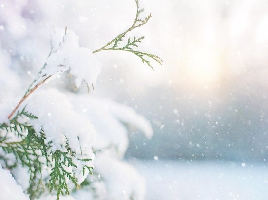 11 января белгородцев ждут небольшой снег и гололедица