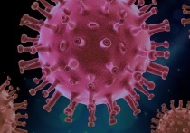 Медики за последние сутки выявили коронавирус ещё у 89 жителей Забайкальского края