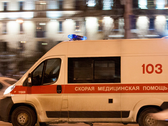 Как использовали владимирскую Скорую в новогодние праздники