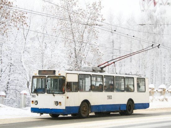 Стоимость проездного билета в троллейбусах составит 480 рублей, а в автобусах — предварительно 840 рублей