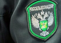 Омское управление Россельхознадзора за год ликвидировало 26 точек выдачи фиктивных документов