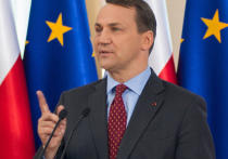 Бывший министр иностранных дел Польши, ныне депутат Европарламента Радослав Сикорский в хамской манере отозвался о России, назвав ее «серийным насильником» и пригрозив ей ударом "по яйцам"