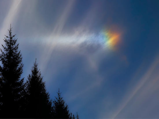 Петербуржцы заметили «солнце с ушами» в небе над Финским заливом