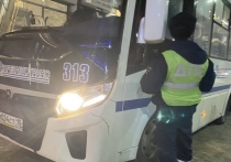 Автобусы Петрозаводска 250 раз нарушили ПДД за год