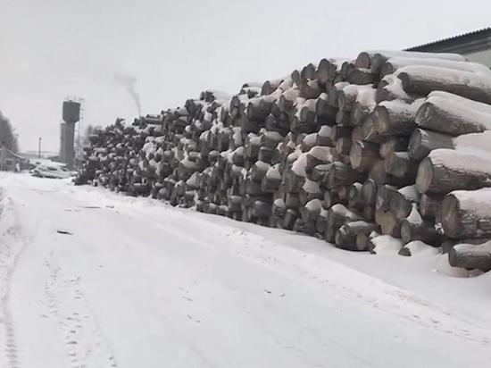 Еще один склад с древесиной на 100 млн рублей нашли в Приморье