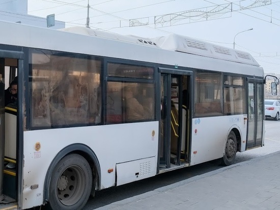 На дороги Волгограда в час пик 11 января вышли дополнительные автобусы
