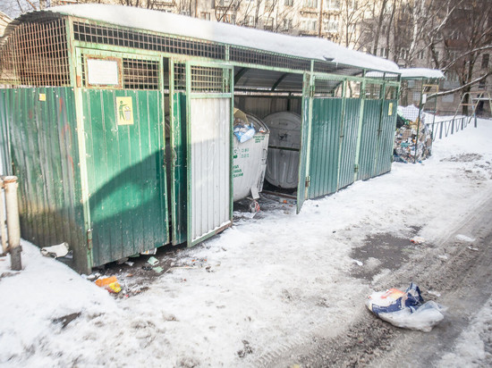 Строительство закрытого мусорного полигона в Пскове могут начать в 2023 году