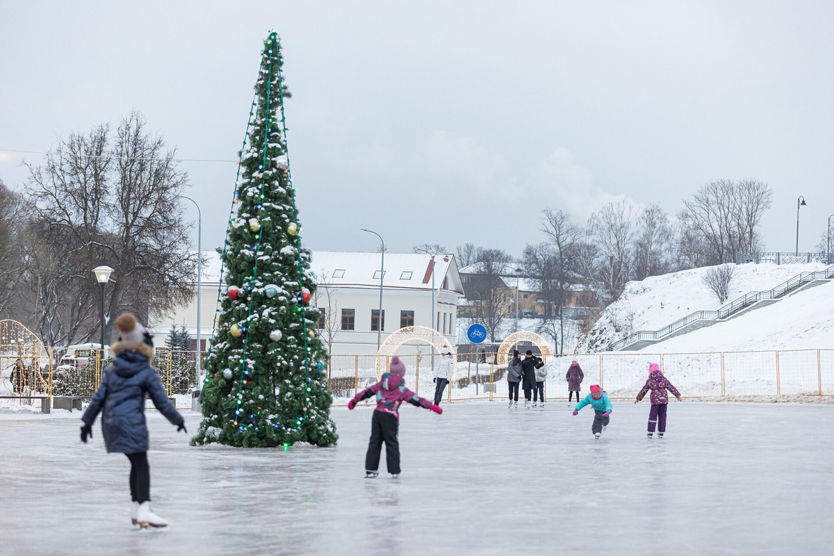 каток парк царицыно