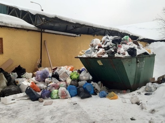 Петербуржцы смогут пожаловаться на вывоз мусора на всероссийском портале