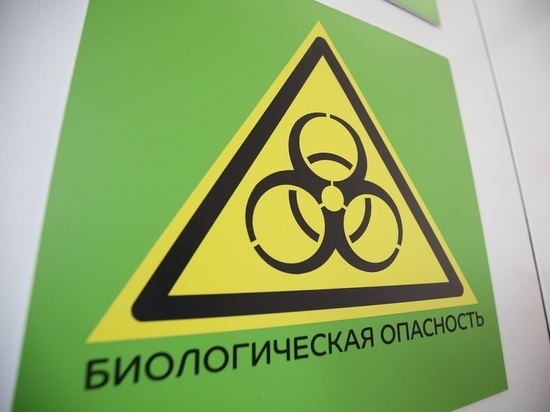Медики прогнозируют сроки распространения омикрон-штамма в Волгограде