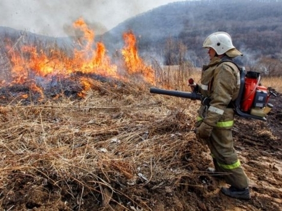 Более 1 млрд рублей выделили Забайкалью для борьбы с лесными пожарами