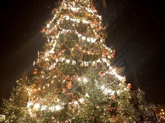Жители Петербурга попросили перенести демонтаж новогодней елки на Дворцовой площади