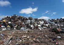 Еще две незаконные свалки сотрудники правоохранительных органов нашли возле села Тахтамышево – всего бытовым и строительным мусором было завалено более 600 соток земли