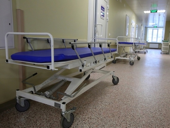 За сутки в Челябинской области погибли 22 человека с коронавирусом