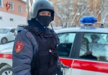 Сотрудники вневедомственной охраны Росгвардии задержали в Октябрьском районе Томска 32-летнего ранее судимого местного жителя, находившегося в федеральном розыске.