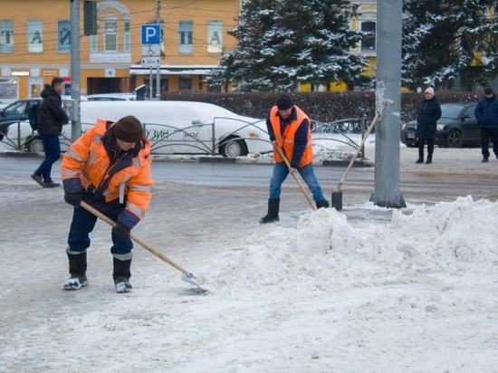 В Рязани женщина с санками с трудом преодолела сугроб на переходе