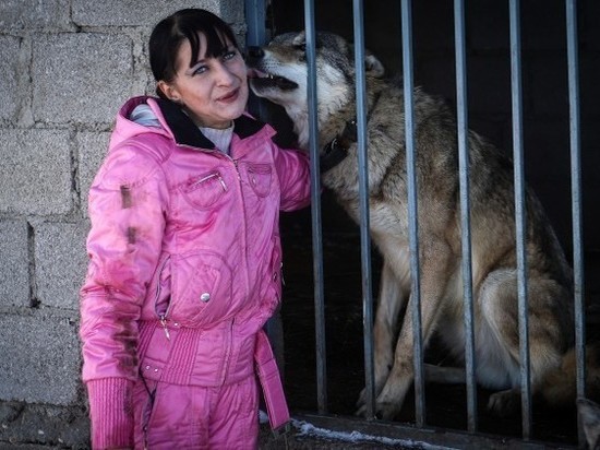 Питомник для волков открыли в Кисловодске