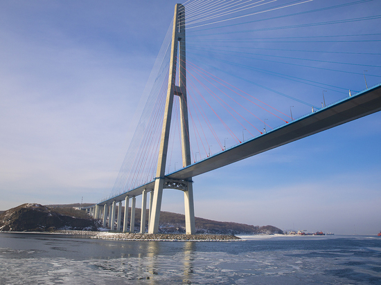Стали известны подробности о падении мужчины с моста на Русском острове