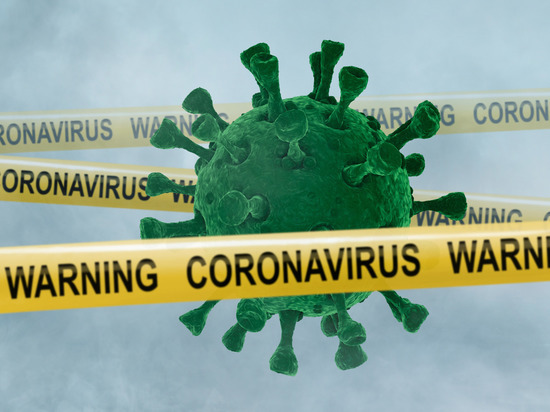 В Новгородской области коронавирусом заболели еще 88 человек