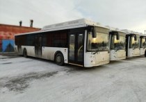 В дептрансе Омска рассказали о сроках запуска нового автобуса по улице Панфилова