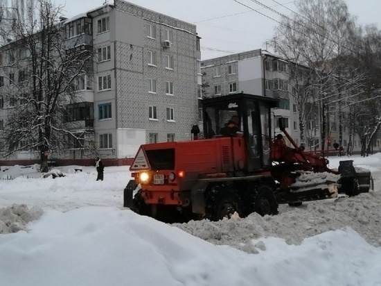 Брянские коммунальщики чистят от снега дороги у школ