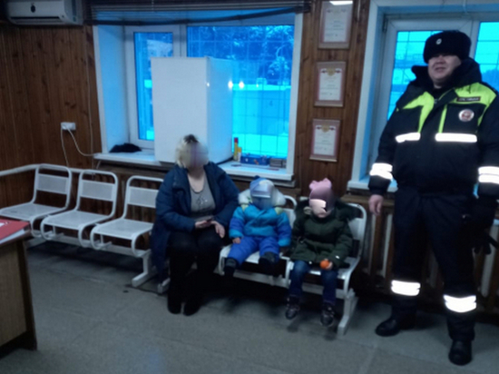 Воронежские автоинспекторы спасли на трассе от обморожения мать с двумя малышами