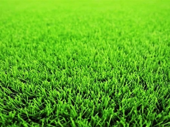 Теперь жители Тверской области могут купить рулонный газон в интернет-магазине